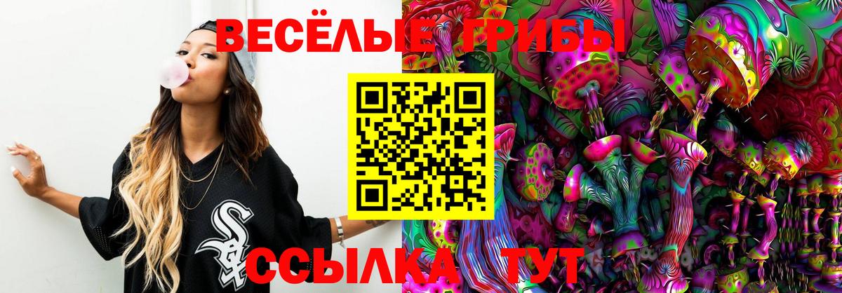 Галлюциногенные грибы ЛСД Дагестанские Огни