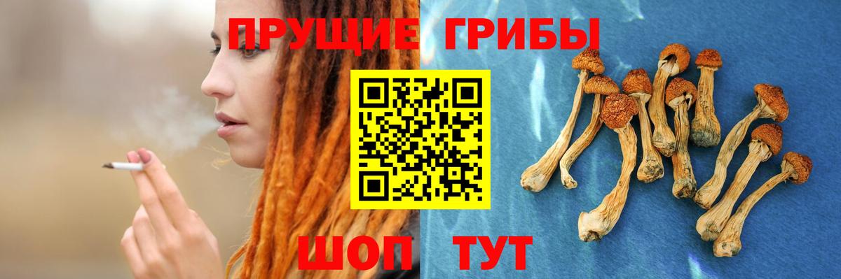 Дагестанские Огни  Псилоцибиновые грибы Cubensis  Галлюциногенные грибы GOLDEN TEACHER  Вход с VPN 